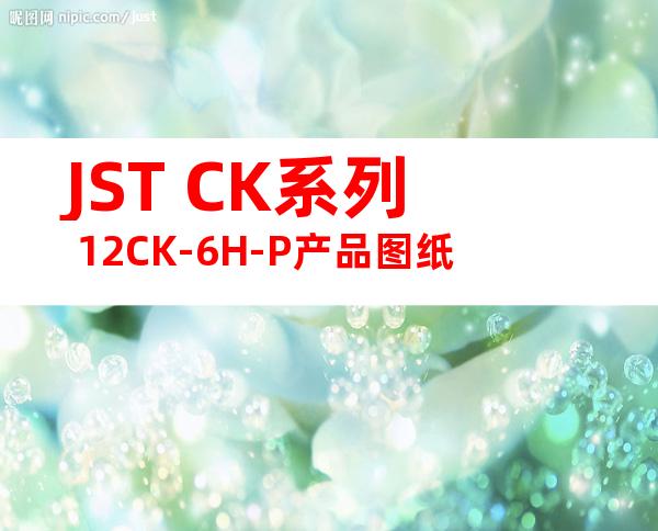 JST CK系列 12CK-6H-P产品图纸